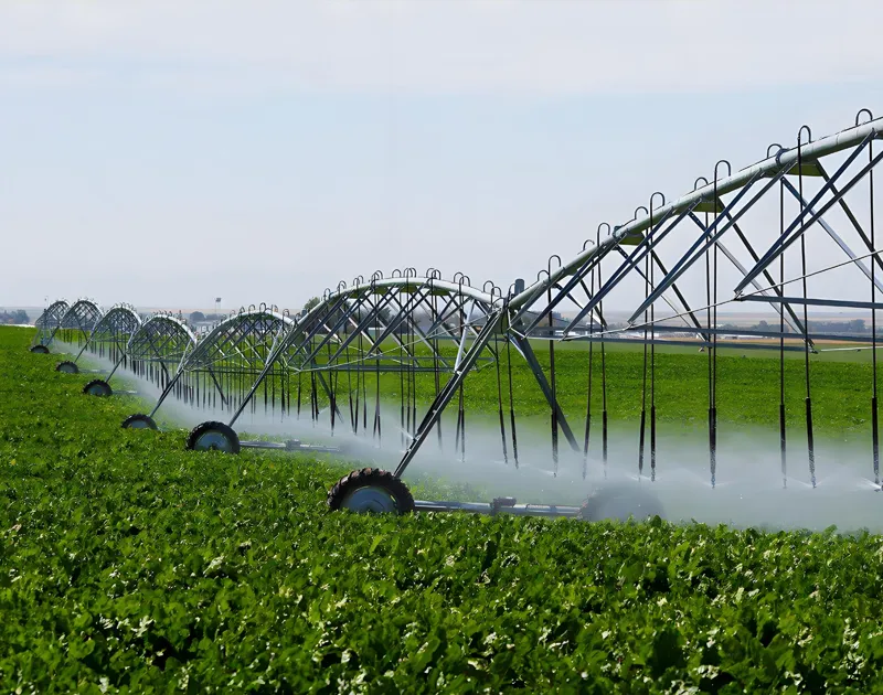 ระบบชลประทาน Micro-Sprinkler